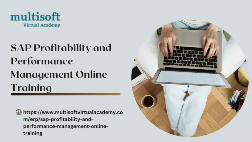 sap-profitability-and-performance-management-online-training-big-0